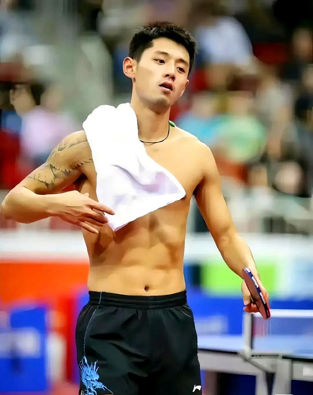 爱游戏娱乐-德国队轻取中国队，张继科高光表现